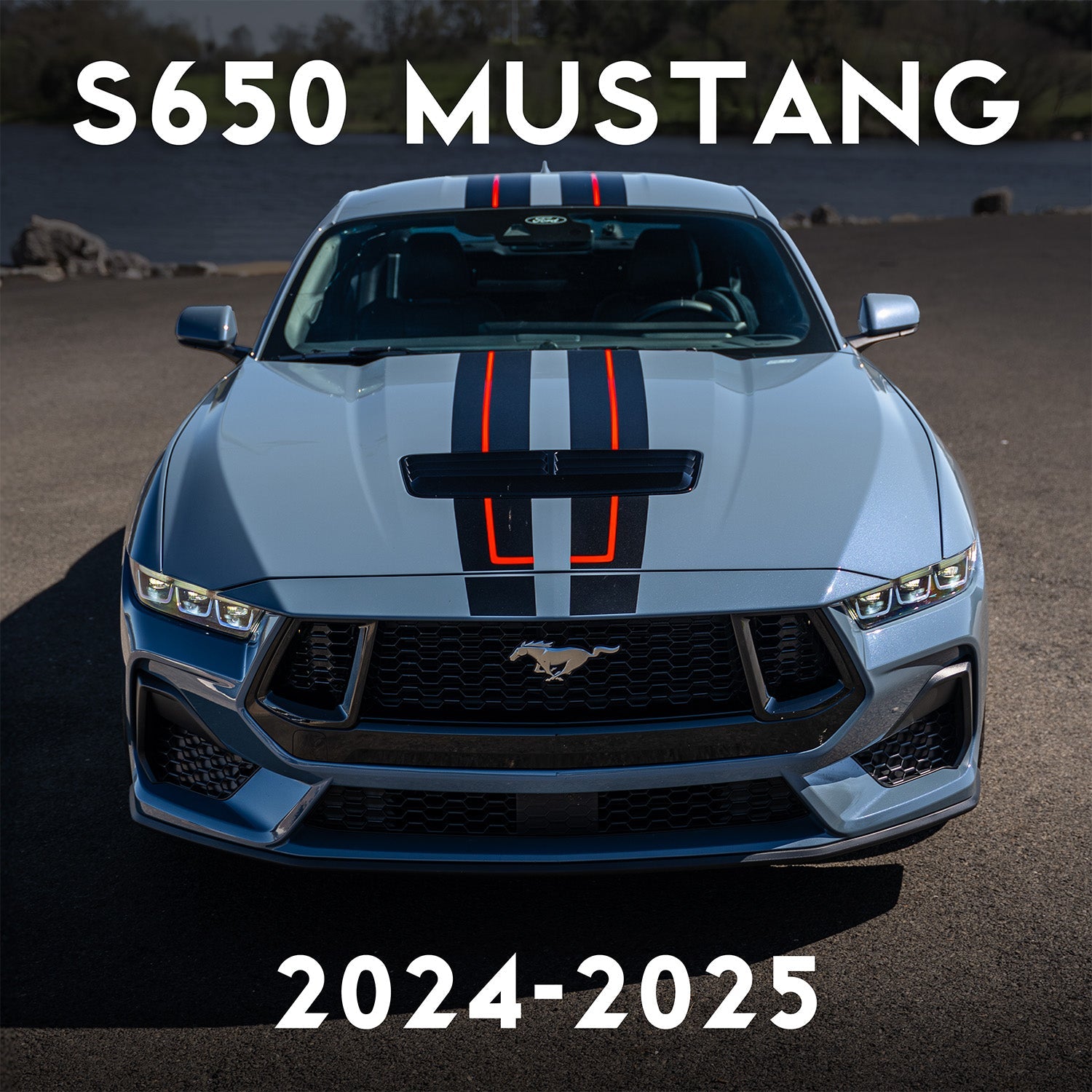 All S650 Mustang Products